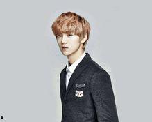 鹿晗反面爆料视频合集在线观看,反面爆料视频合集深度解析  第1张